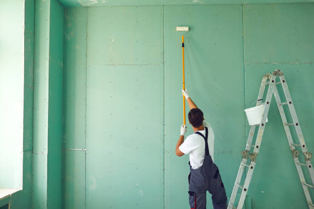 Best Mold Remediation for Healthcare Facilities  in Killeen, TX