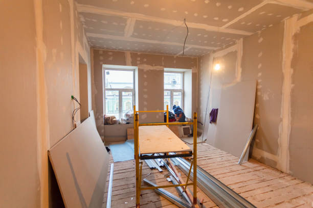 Best Environmental Consulting for Mold Prevention  in Killeen, TX