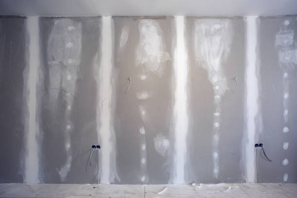 Best Mold Damage Restoration  in Killeen, TX